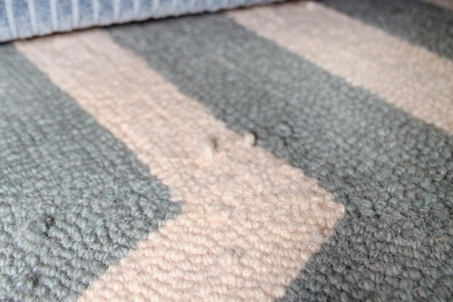 New rug detail